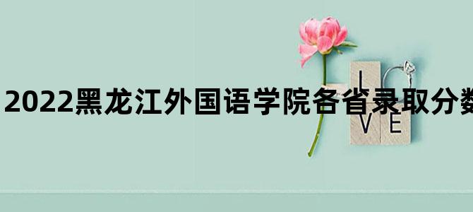 '2022黑龙江外国语学院各省录取分数线 最低分是多少'
